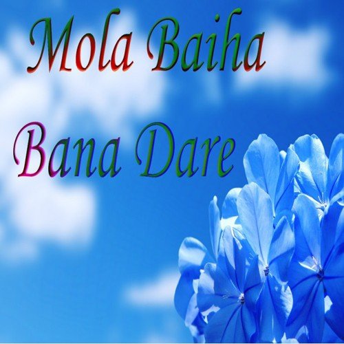Basanti Rangili Songs MP3 Download